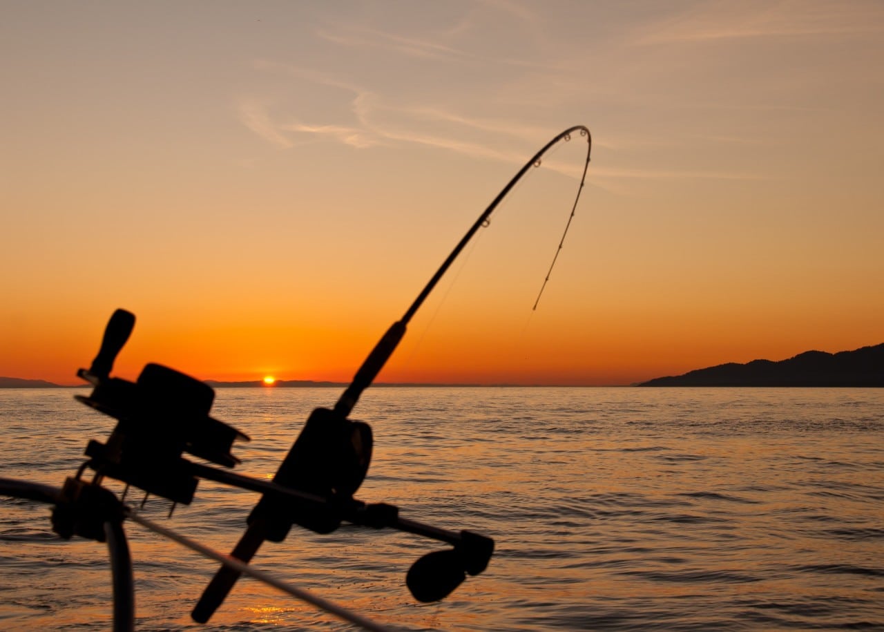 Mastering Summer Fishing Expeditions with a GPS Tracker for